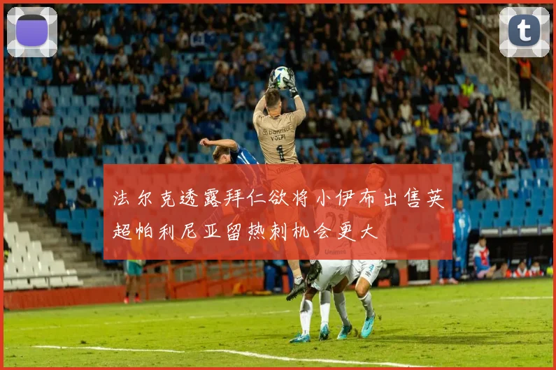 法尔克透露拜仁欲将小伊布出售英超帕利尼亚留热刺机会更大